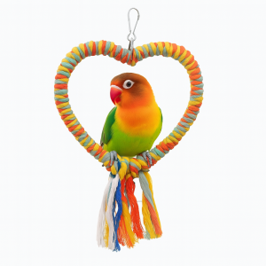 Urocza huśtawka w kształcie Serca dla małych papug | Parrot Planet