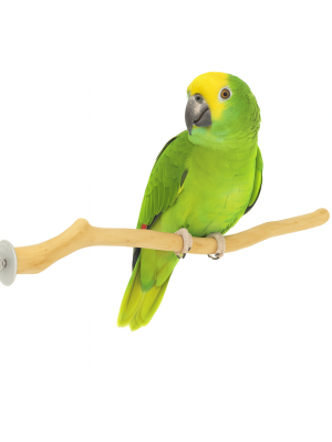 Żerdź drewniana Java - dla średnich papug 30 cm