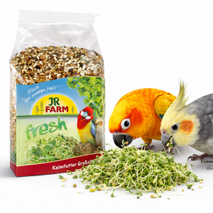 JR FARM Big Parakeet - Kiełki dla nimf i innych średnich papug 1kg