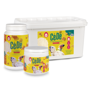 CéDé Hand Rearing Food Protein+ P21 F9 800 g | Pokarm do ręcznego karmienia dużych papug