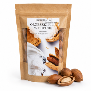 Premium Parrot Food | Orzeszki pili w łupinie dla papug | naturalny przysmak | 100g