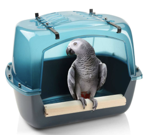 Splash Giant | Basen dla wszystkich gatunków papug