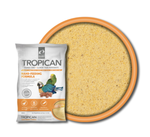 Hagen Hari Tropican Hand Feeding Formula - Pokarm do ręcznego karmienia piskląt 400g