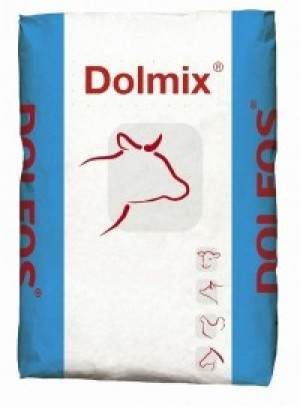 Dolmix B 20kg
