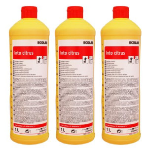Ecolab Into Citrus 3 x 1 Liter Sanitär Kraftreiniger Bad + WC Reiniger