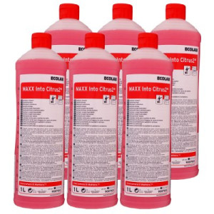 Ecolab MAXX Into Citrus2 6 x 1 Liter Sanitärreiniger Zitronenduft Bad WC