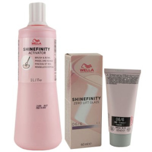 Wella Shinefinity Glaze Cool 60 ml 06/6 & Activator Brush Bowl 2% 1L Entwickler