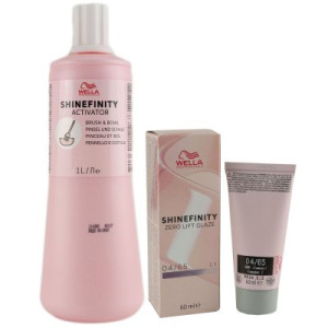 Wella Shinefinity Glaze Cool 60 ml 04/65 & Activator Brush Bowl 2% 1L Entwickler