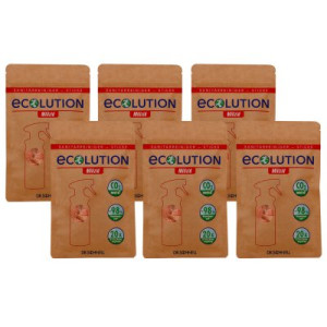 Dr. Schnell Ecolution Milizid 6 x 20 Sanitärreiniger-Sticks Kalklöser