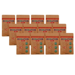 Dr. Schnell Ecolution Milizid 12 x 20 Sanitärreiniger-Sticks Kalklöser