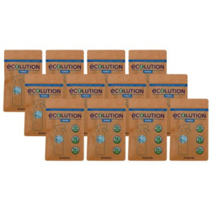 Dr. Schnell Ecolution Forol 12 x 20 Universalreiniger Sticks