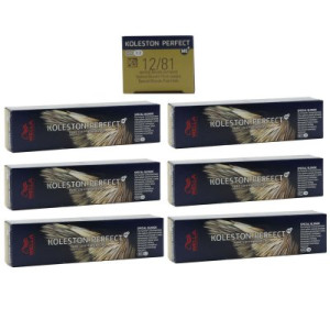 Wella Koleston 6 x 60 ml 12/81 Spezialblond perl asch