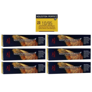 Wella Koleston 6 x 60 ml 10/95 hell lichtblond cendre mahagoni