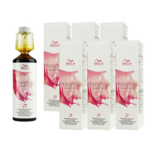 Wella Perfecton by Color Fresh 6 x 250 ml /7 Braun Tonspülung