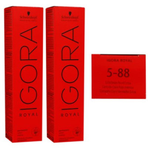 Schwarzkopf Igora Royal 2 x 60 ml 5-88 hellbraun rot extra Haarfarbe Cremefarbe