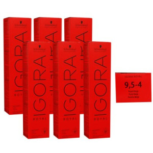 Schwarzkopf Igora Royal 6 x 60 ml 9,5-4 beige Haarfarbe Cremefarbe