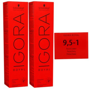 Schwarzkopf Igora Royal 2 x 60 ml 9,5-1 platinblond cendre Haarfarbe Cremefarbe