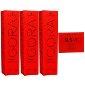 Schwarzkopf Igora Royal 3 x 60 ml 9,5-1 platinblond cendre Haarfarbe Cremefarbe