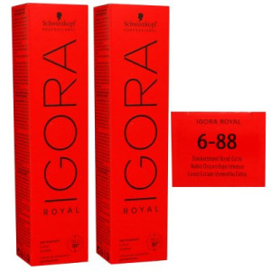 Schwarzkopf Igora Royal 2 x 60 ml 6-88 dunkelblond rot extra Haarfarbe Cremefarbe