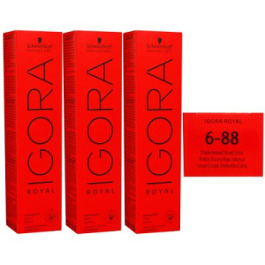Schwarzkopf Igora Royal 3 x 60 ml 6-88 dunkelblond rot extra Haarfarbe Cremefarbe