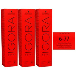 Schwarzkopf Igora Royal 3 x 60 ml 6-77 dunkelblond kupfer extra Haarfarbe Cremefarbe