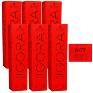 Schwarzkopf Igora Royal 6 x 60 ml 6-77 dunkelblond kupfer extra Haarfarbe Cremefarbe