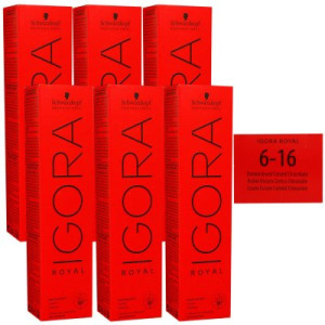 Schwarzkopf Igora Royal 6 x 60 ml 6-16 dunkelblond cendre schoko Haarfarbe Cremefarbe