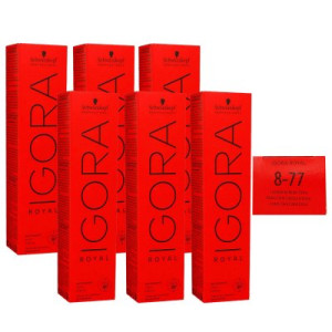 Schwarzkopf Igora Royal 6 x 60 ml 8-77 Hellblond Kupfer Extra Haarfarbe Cremefarbe