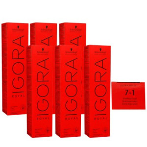 Schwarzkopf Igora Royal 6 x 60 ml 7-1 Mittelblond Cendre Haarfarbe Cremefarbe