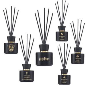 Harry Potter 100 ml Raumduft Reed Diffuser - Slytherin