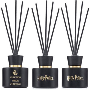 Harry Potter Slytherin 2 x 100 ml Raumduft Reed Diffuser