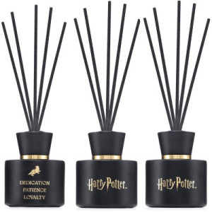 Harry Potter Hufflepuff 2 x 100 ml Raumduft Reed Diffuser
