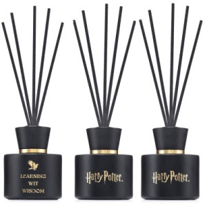 Harry Potter Ravenclaw 2 x 100 ml Raumduft Reed Diffuser