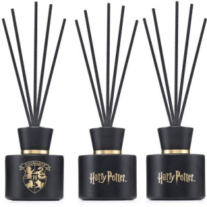 Harry Potter Hogwarts 2 x 100 ml Raumduft Reed Diffuser