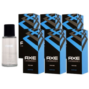 Axe Marine Fresh Aqua 6 x 100 ml After Shave Lotion Rasur Pflege