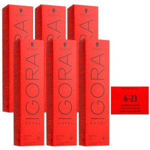 Schwarzkopf Igora Royal 6 x 60 ml 6-23 Dunkelblond Asch Matt Haarfarbe
