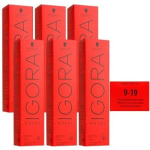 Schwarzkopf Igora Royal 6 x 60 ml 9-19 Extra Hellblond Cendre Violett Haarfarbe