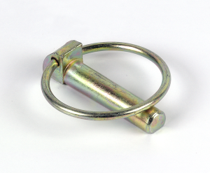 TOPCAR - 100 goupilles clip 10 - GC10