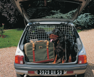 MOTTEZ - Filet pare chien universel - A004B