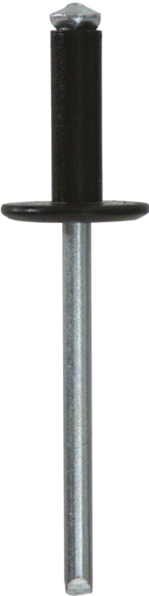RESTAGRAF - Rivets rivets epanouis peints - 4916