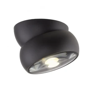 Lampa sufitowa reflektor obrotowy i odchylany PURE MOVE 6235-18 - Paul Neuhaus