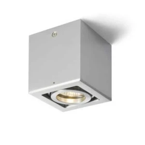 Oprawa sufitowa BERIT I R10119 - Rendl