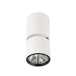Reflektor sufitowy LED biały regulowany SPL-2854-1-SC-WH z serii BONIVA - Lampy Italux