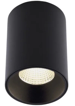 Oprawa sufitowa CHIP C0163 -Maxlight