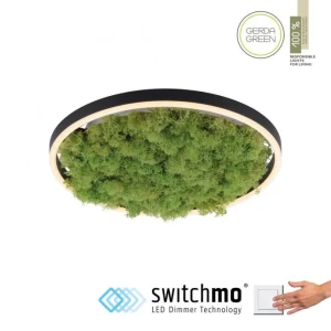 Lampa sufitowa GREEN RITUS 15391-66 - Paul Neuhaus