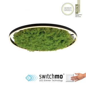 Lampa sufitowa GREEN RITUS 15392-66 - Paul Neuhaus