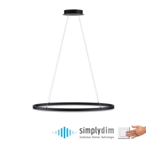 Lampa wisząca LED TITUS 2392-13 - Paul Neuhaus