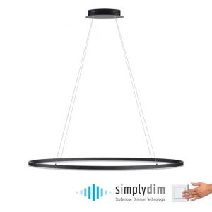 Lampa wisząca LED TITUS 2393-13 - Paul Neuhaus