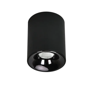 Oprawa natynkowa Tom czarna LED CCT LP-4848/1RM BK - Light Prestige
