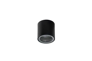 Azzardo Oprawa sufitowa metalowa czarna IP54 AZ3314 z serii Joe Tube